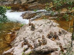 -姑婆山旅游区