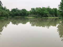 -桤木河湿地公园