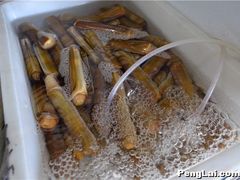 -抹直口特色菜馆(一店)