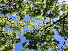 -国家植物园南园