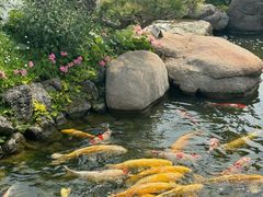 -罗红摄影艺术馆