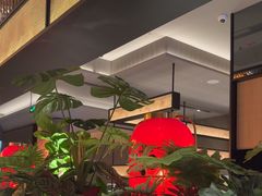 -辛香汇·现炒川菜(城北万象城店)