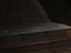 -龙头寺公园