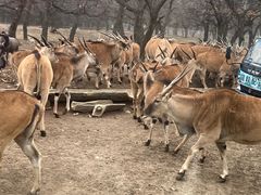 -西安秦岭野生动物园