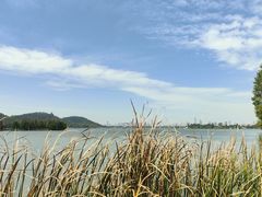 -东湖落雁景区