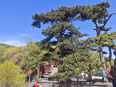 -妙峰山风景名胜区