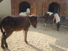 -HERRE·FARM 赫尔露营农场·团建聚会包场