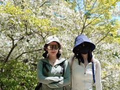 -崂山巨峰游览区
