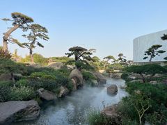 -罗红摄影艺术馆