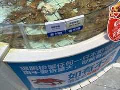 -大锅强·蒸海鲜青岛菜(吾悦广场店)