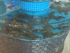 -蓝珊甄选海鲜自助·火锅大排档(近阿那亚店)