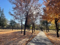 -承德避暑山庄景区