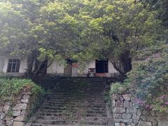 -午潮山国家森林公园