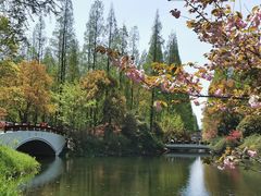 -东平国家森林公园