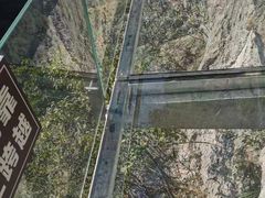 -千岛湖石林