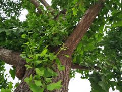 -映像徐州(滨湖店)