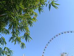 -美心红酒小镇游乐园