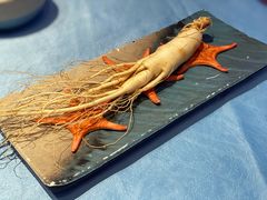 鲜人参锅底-千岛蚝高压锅生蚝·人参火锅(白云万达店)