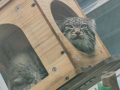 -青藏高原野生动物园