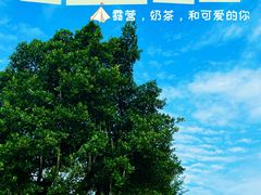 -长洲岛都市农业公园