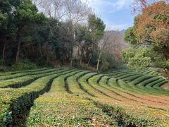 -敬亭山风景名胜区