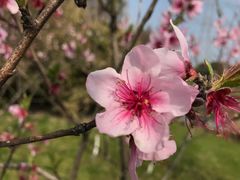 -九里河湿地公园