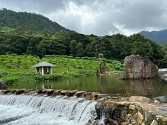 -广州市石门国家森林公园