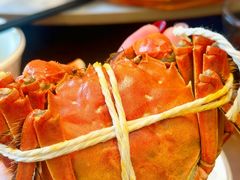 -蟹天蟹地农家菜·阳澄湖大闸蟹(浅水湾店)