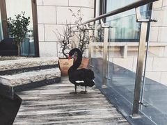 门面-行者书屋大堂吧 ·下午茶(南京圣和府邸酒店)