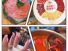 -手选潮汕鲜活牛肉火锅(二七广场店)