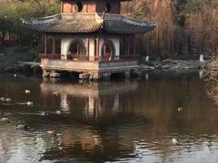 -水绘园