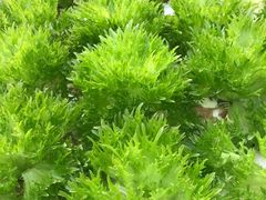 -中国农科院国家农业科技展示园