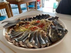 -煲来饱去冷水鱼