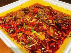 -杨记隆府(重庆总店)