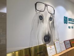 -美联众合动物医院·24h转诊中心