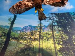 -房山世界地质公园博物馆