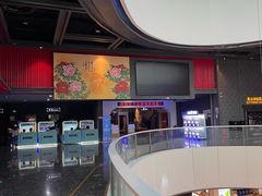 -万达影城(西铁营万达广场IMAX店)