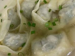 特色荠菜肉馄饨-潘国仙耳光馄饨(黄家阙路店)