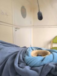 -伊童美家小儿推拿·中式养生(徐汇店)