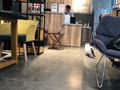 -脉冲品质汽美·贴膜(闵行店)