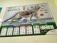 -芭比堂动物医院广州顽皮分院