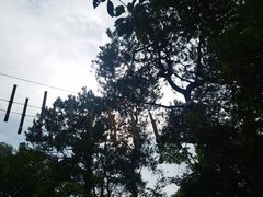 -芦仙山景区-飞越丛林探险乐园