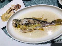 蒸黄花鱼-花城苑广府菜(侨鑫店)
