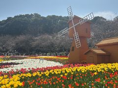 -苏州上方山国家森林公园