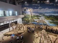 -自贡恐龙博物馆