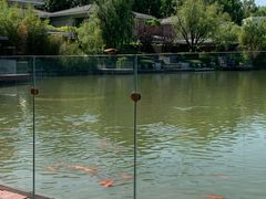 -春晖园度假酒店温泉