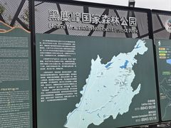 -长沙黑麋峰国家森林公园