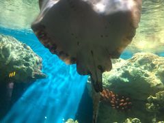 -福州罗源湾海洋世界旅游区