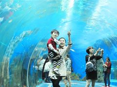 -成都浩海立方海洋公园