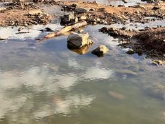 -乌素图国家森林公园